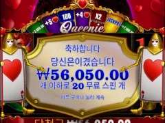 슬롯 퀴니 적응중