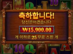 버팔로킹언테임드 25스핀 이거 맞냐