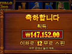 버팔로킹 메가웨이즈 12스핀 후기