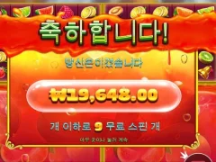 쥬시후르츠 9스핀 스몰사이즈 주면 우야노