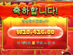 쥬씨후르츠 8스핀 1콩