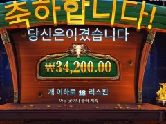 카우보이코인스 18스핀 스핀대비 효율 좋네