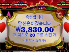 퀴니 너무하다 생각 안해?