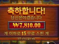 버팔로킹언테임드 죽일까..