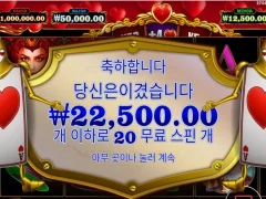 온라인 슬롯 퀴니 20스핀 본전치기