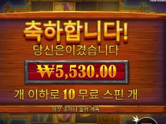 버팔로킹 언테임드 본전은 줘야하지 않겠냐...
