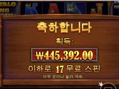 버팔로킹메가 행복한 점심고민 시간이네