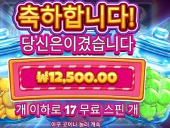 캔디자클러스터 17스핀 나쁜듯 나쁘지 않은 후기