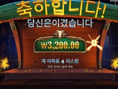 오랜만에 바닥보네 카우보이코인스 4스핀 후기
