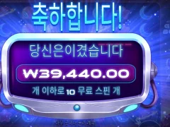 퇴근직전 쏘아올린 그래비티보난자