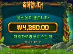 팀버스택스 8스핀 간보지마라
