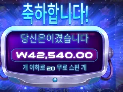 그래비티보난자 20스핀 집가서 치킨각이다
