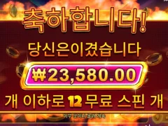 캐시칩스 12칩스 낫배드