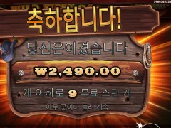 와일드웨스트골드 9스핀 바닥