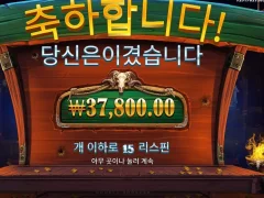카우보이코인스 15스핀 새벽팟 굿