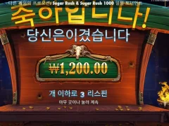 스핀도 배당도 바닥이구나 카우보이코인스
