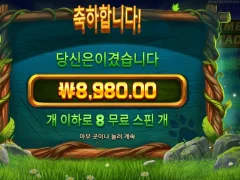팀버스택스 8스핀 적당하네