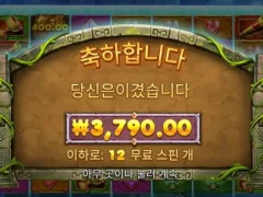 바닥 버뮤다리치스
