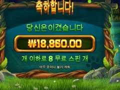 팀버스택스 배당 잘 주는구만??