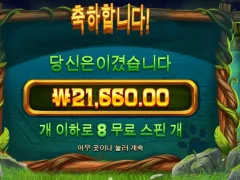 새벽 팀버스택스 나이스