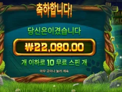 팀버스택스 10스핀 나이스 배당