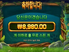 팀버스택스 8스핀 낫배드