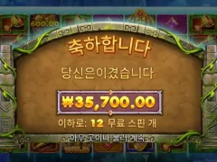 생각보다 후한 버뮤다리치스