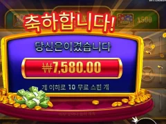 칩좀 여유롭게 부탁해 캐시칩스
