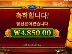 피기뱅커스 배춧잎좀줘라