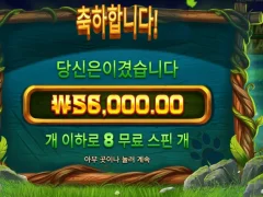 스핀대비 배당좋은 팀버스택스