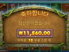 버뮤다리치스 12스핀 후기
