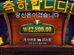 그럭저럭 배당 카우보이코인스 26스핀