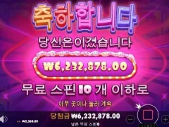 점심먹은거 체할뻔 슈가러쉬