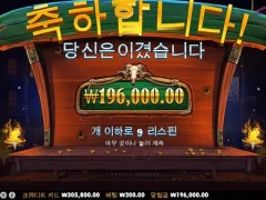 아침부터 웃게만들어주는 카우보이코인스