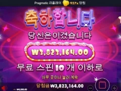 파라오 슬롯 후기용