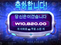 프라그마틱 그래비티보난자