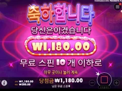 247슬롯 후기