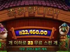 247슬롯 후기