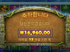 버뮤다리치스 12스핀 17천원 낫배드