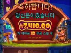 개집멀티 후기