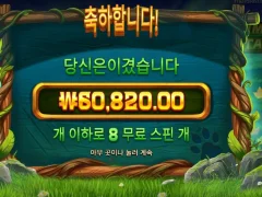 주말 팀버스택스 8스핀 빅윈