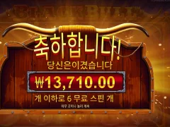 온라인슬롯 블랙 불