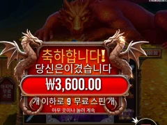 슬리핑 드래곤 9스핀 바닥진입