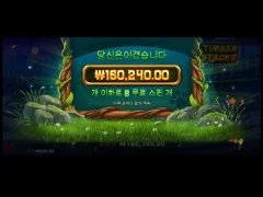 팀버스택스 추천해준새기 누구더라