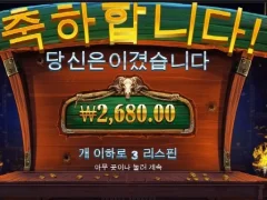 카우보이코인스 절망적인 후기