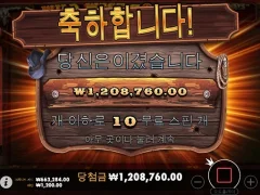 와일드웨스트골드 10스핀 맥스윈