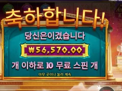 위즈덤오브아테네 약 300배 후기