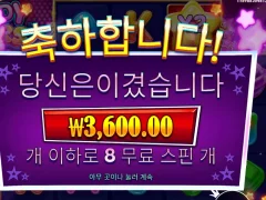 캔디스타 바닥진입