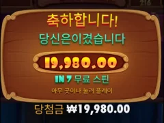개집 이정도면 낫배드