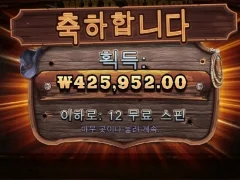 와일드웨스트골드 12스핀 퇴근하니 선물주네